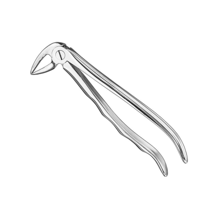 Extracting forceps, anat.